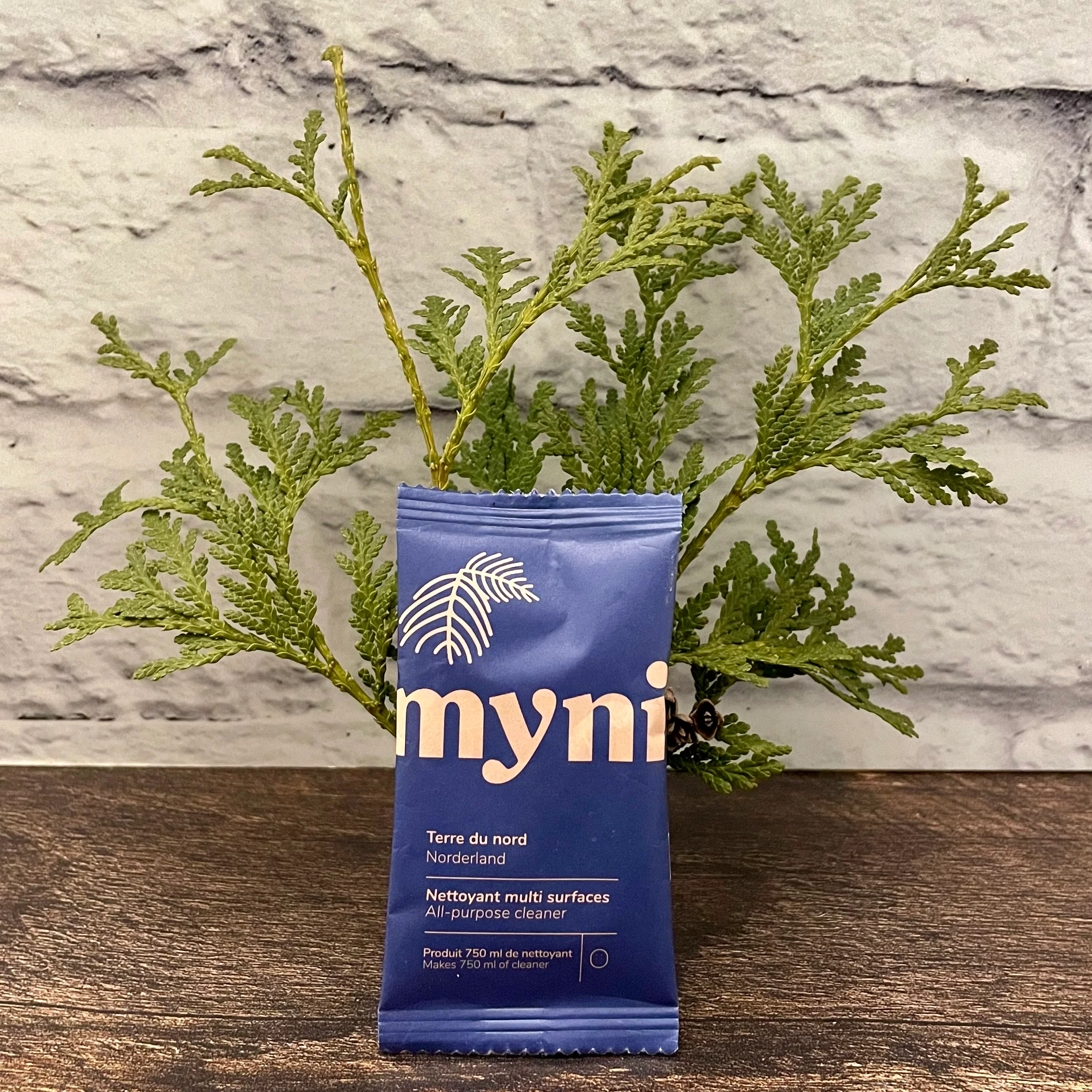 Nettoyant tout usage et multi-surfaces en capsule (pastille) - Sans plastique - Image 6