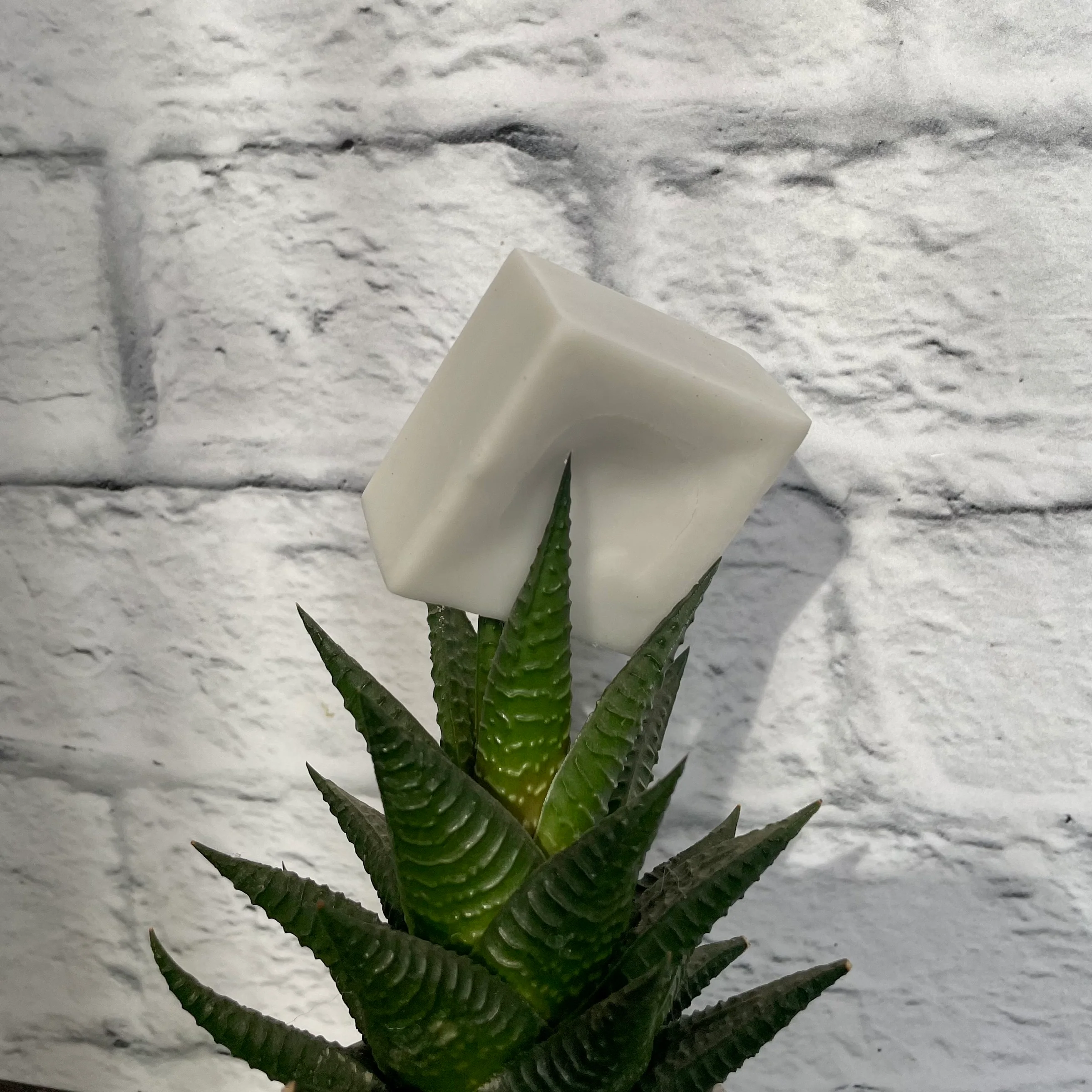 Revitalisant en barre - Image 4